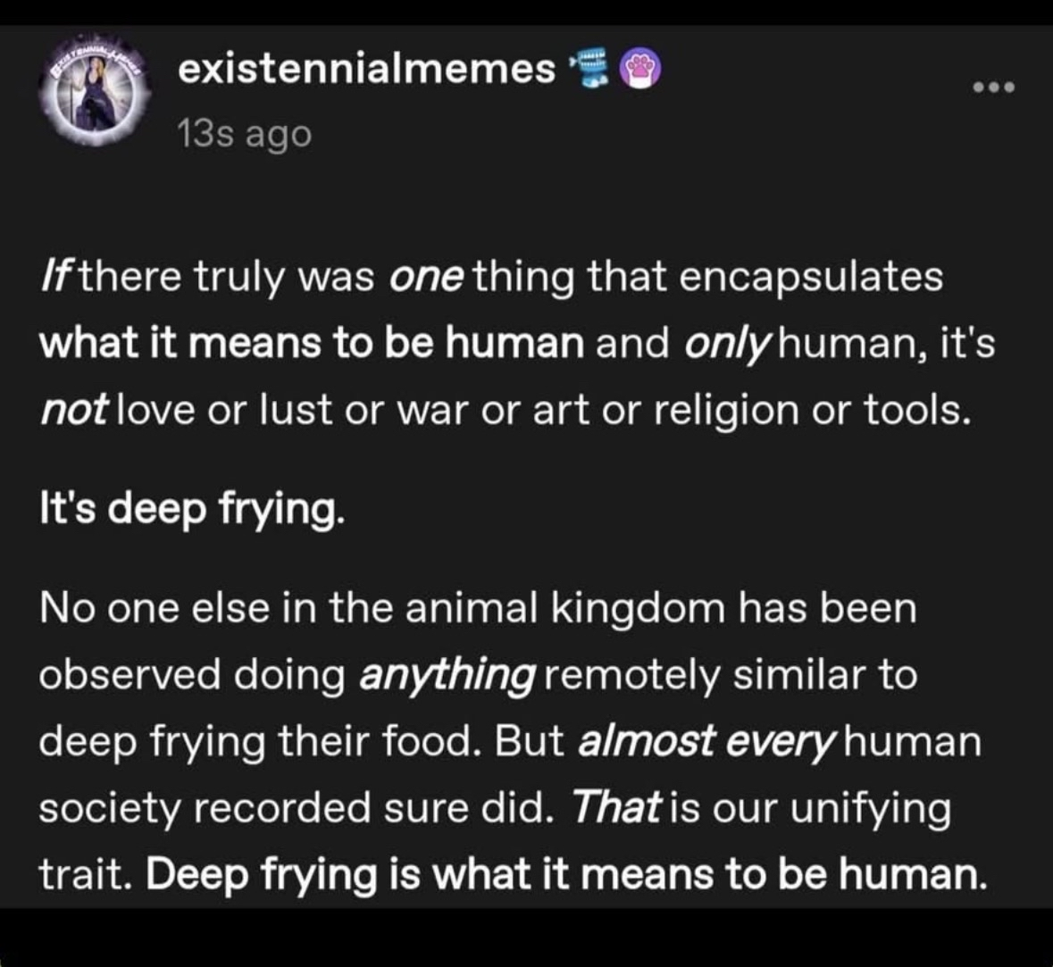 Apparently, deep frying is the true meaning of being human. I can get behind this explanation.