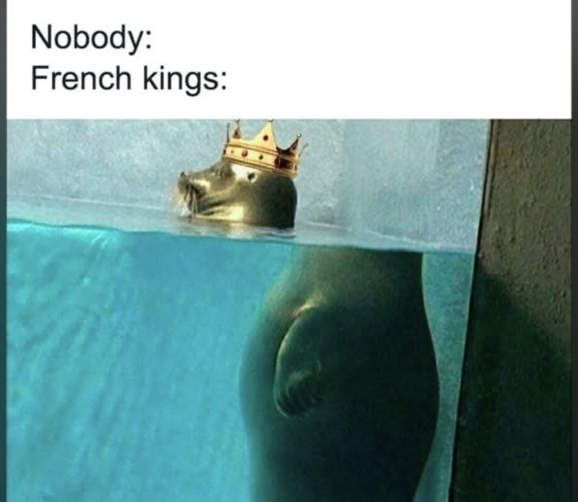 Nobody: French kings: