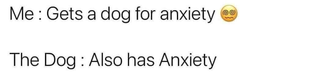 My dog is supposed to help my anxiety but turns out he has anxiety too.