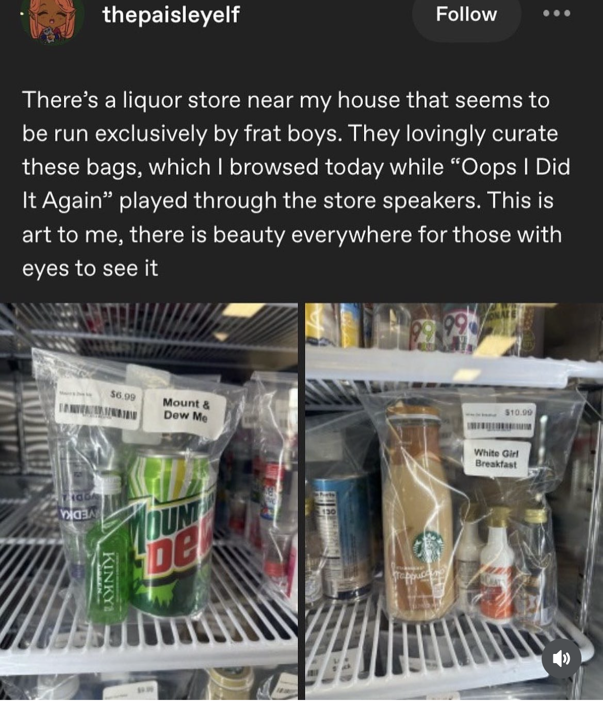 This liquor store is being run by frat boys who curate themed bags like 'Mount & Dew Me' and 'White Girl Breakfast' playing Britney Spears. Peak art.