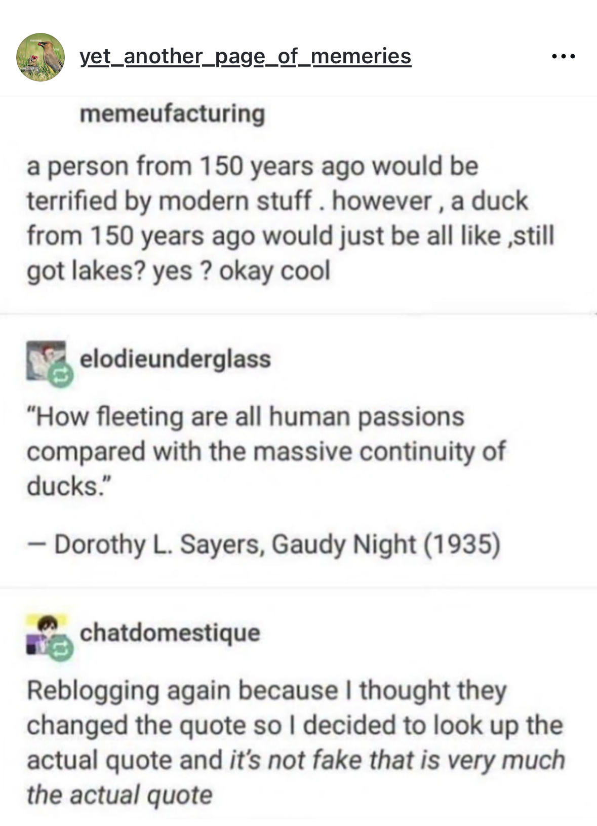 Basically, ducks have always been chill and probs will be forever