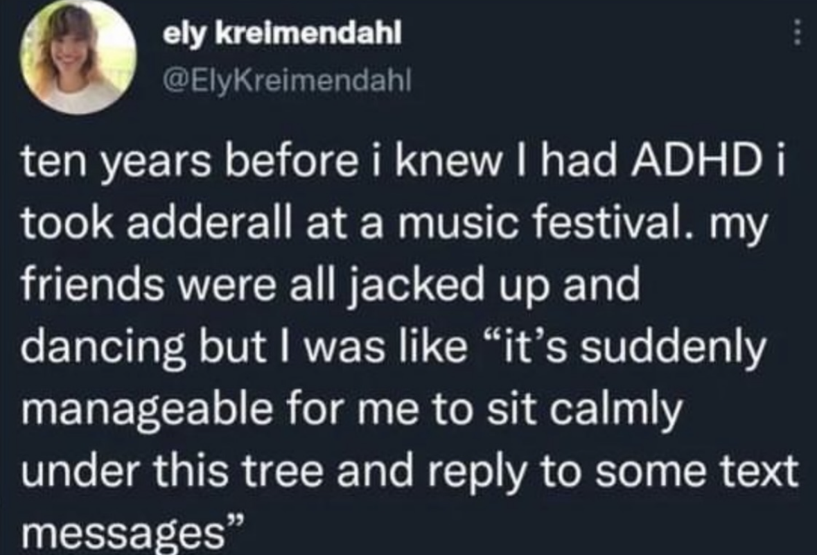 Me at a festival trying Adderall before I knew I had ADHD vs. everyone else having fun