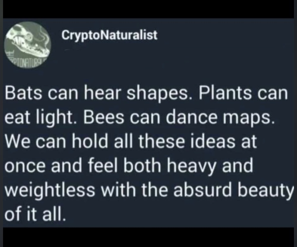 Brain trying to comprehend the wild shit nature does vs. me trying to comprehend my responsibilities