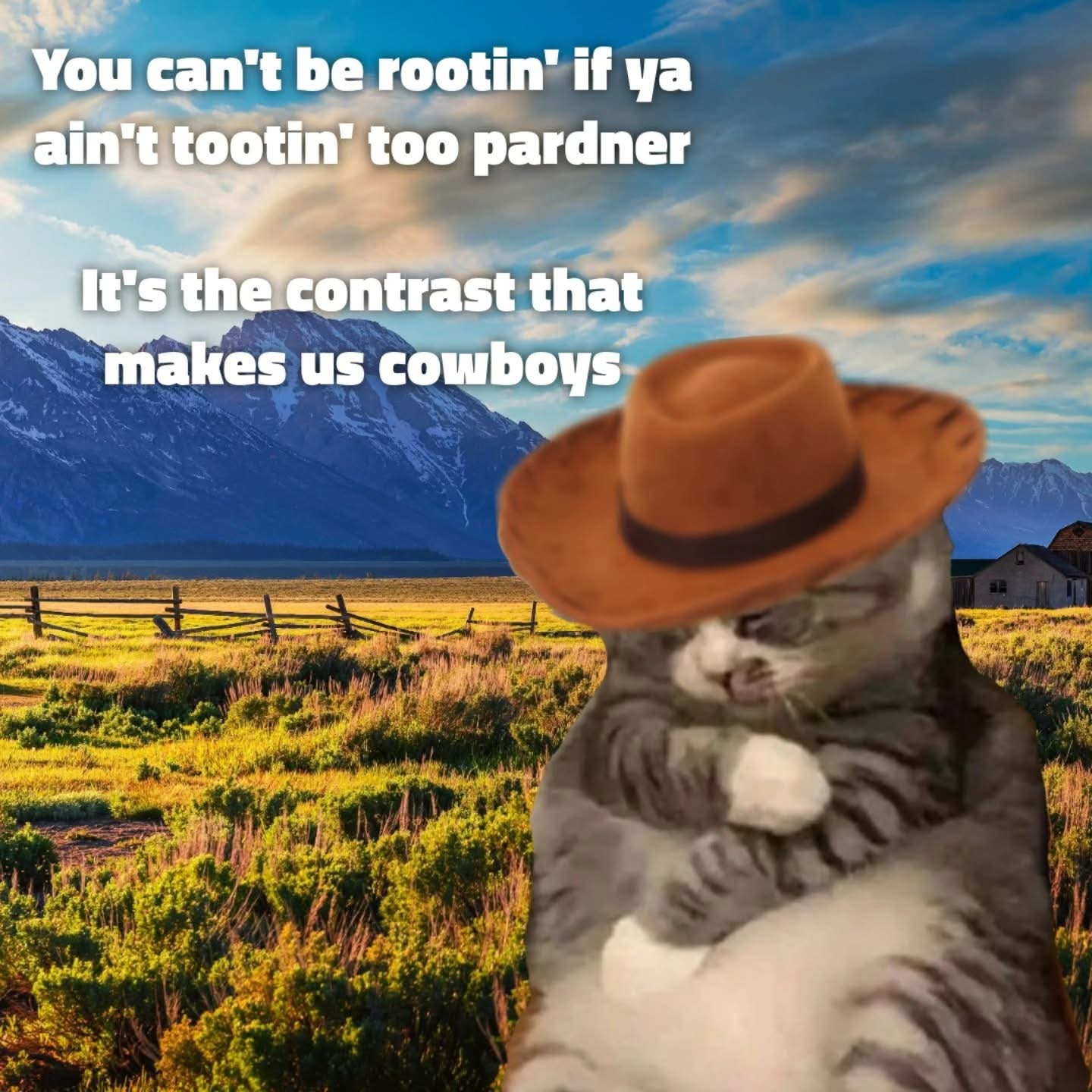 When you're trying to be a tough cowboy but you're actually a floofy cat