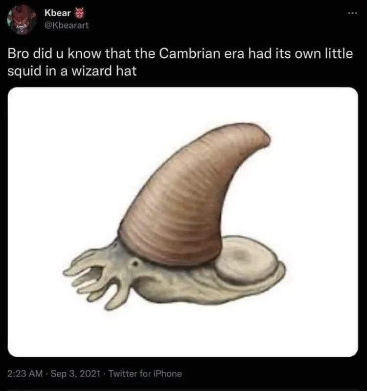Me realizing ancient sea creatures were low-key rocking wizard hats