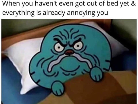 Me before I've even gotten out of bed and already mad at everything