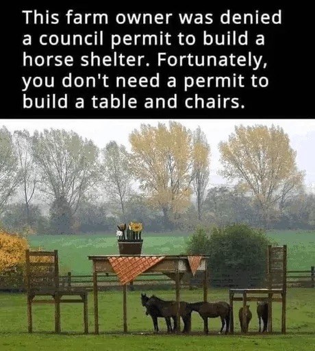 When you can't get a permit for a horse shelter so you just build a table and chairs and let the horses hang out under there instead lol