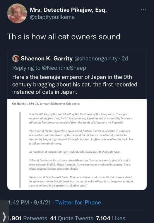 Cat owners have been bragging about their cats since the 9th century, lol.