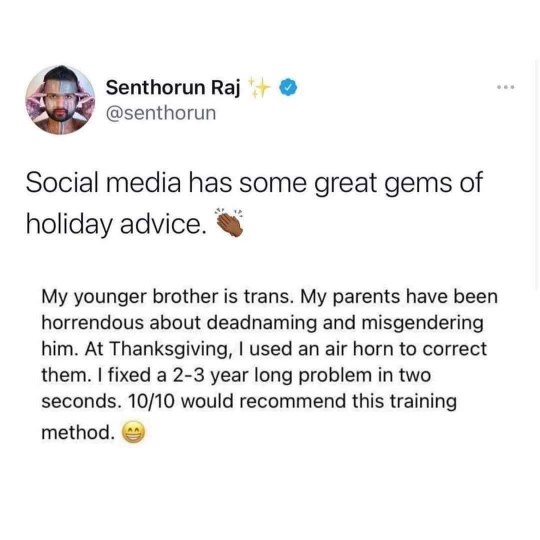 This person used an air horn to instantly fix their parents' deadnaming and misgendering issues with their trans sibling. Genius.