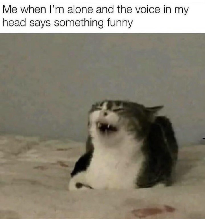 Me when I'm alone and the voice in my head says something funny