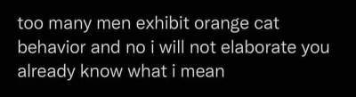Too many guys out here acting like orange cats and you already know what that means