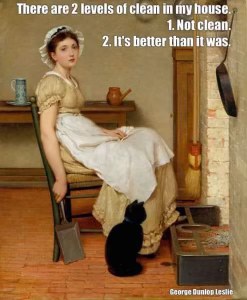 My house cleaning standards are basically 'progress, not perfection'.
