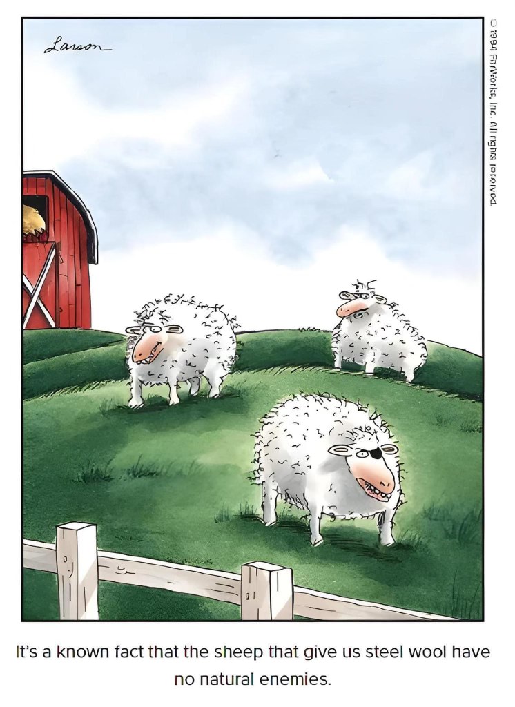 When you find out other sheep are being used for steel wool and you're just trying to live your best life.