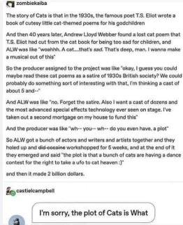 Me trying to explain the plot of the musical Cats, but honestly, nobody knows