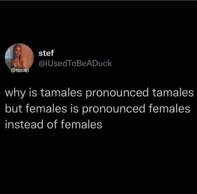 Someone just asked why females isn't pronounced as 'females' like tamales is pronounced 'tamales'. Mind blown.