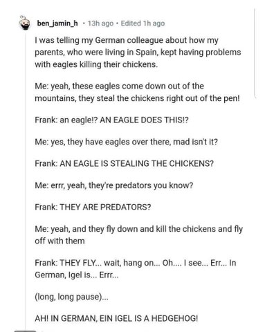 When your German colleague realizes 'eagle' sounds a lot like 'hedgehog' in German