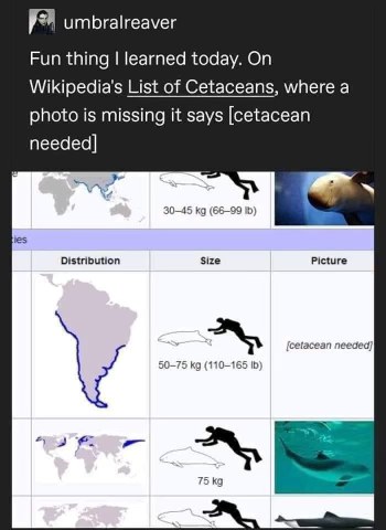 wikipedia is out here asking for help to find cetaceans