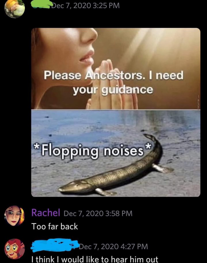 Me asking my ancestors for advice and they show me this primordial swamp creature