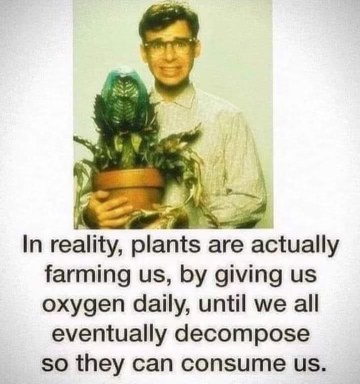 So like, plants are farming us for oxygen and then we die so they can eat us? Wild.