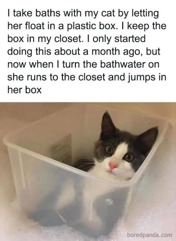 My cat is literally built different, she thinks she's in a bubble bath with me