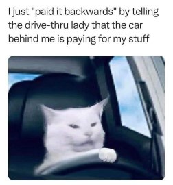 When you think you're being clever at the drive-thru but you're actually just getting scammed lol