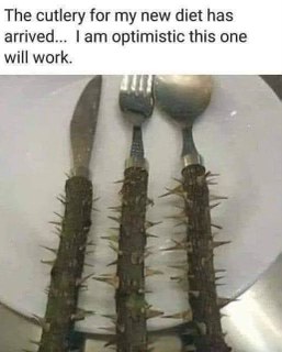 My diet cutlery really came through this time, ready to inflict maximum pain for zero calories.