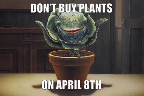 Me on April 8th after buying plants because I forgot about Audrey II