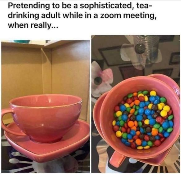 Me pretending to be sophisticated on a Zoom call but I'm actually just eating M&Ms out of a teacup