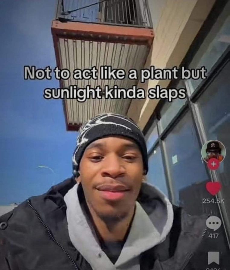 Me realizing sunlight is pretty great and I should probably go outside more