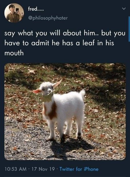 This goat's got a little something extra in its dinner plans.