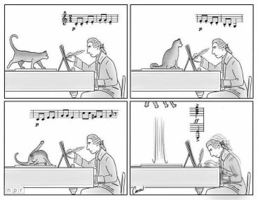 When you try to teach your cat music theory but they just have other plans for the piano keys.