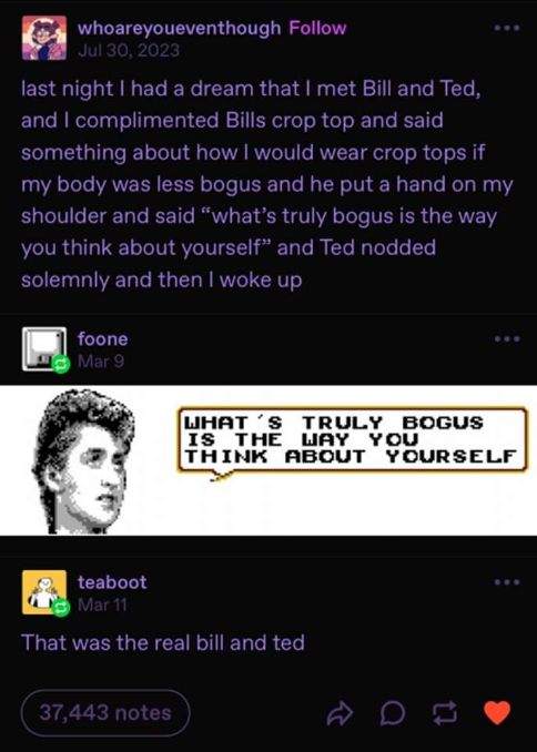 Bill and Ted giving some existential advice in a dream, and then someone points out it was actually them.