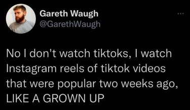 Some people watch TikToks, but I'm a grown up who watches Instagram Reels of TikToks that were popular 2 weeks ago.