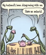 When your friend describes a totally normal situation but you know where it's going with praying mantises