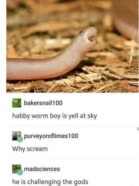 Little worm boy yelling at the sky because he's challenging the gods