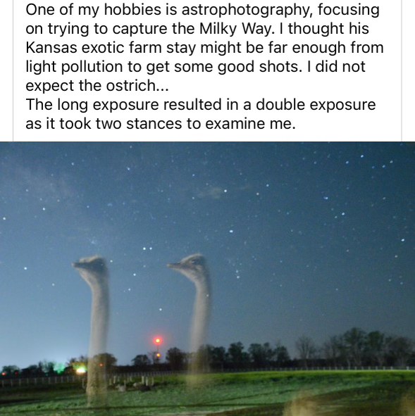 Was trying to take star pics but got a double exposure of an ostrich staring at me. Classic.