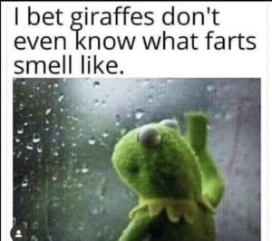 Kermit staring out the window like he's pondering the existential nature of giraffe flatulence.