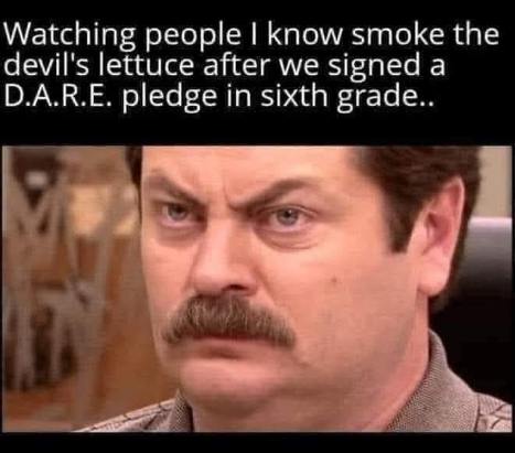 Me when my classmates who swore they'd never touch drugs are now hitting the devil's lettuce after our D.A.R.E. pledge