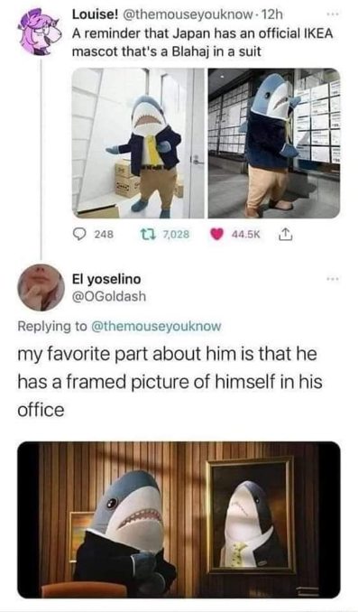 When the Blahaj mascot has a framed picture of himself in his office