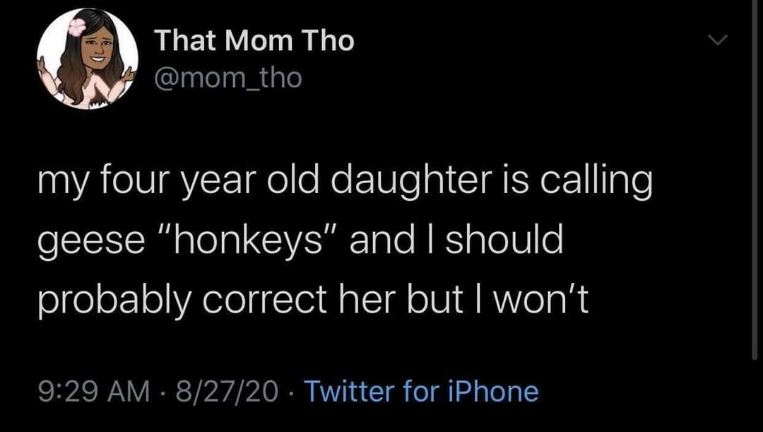 My 4-year-old calls geese 'honkeys' and I'm just gonna let it happen