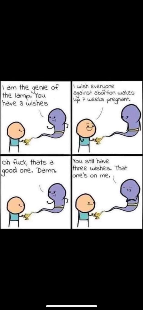 The genie uses one of his wishes on someone who wishes everyone against abortion wakes up 7 weeks pregnant.