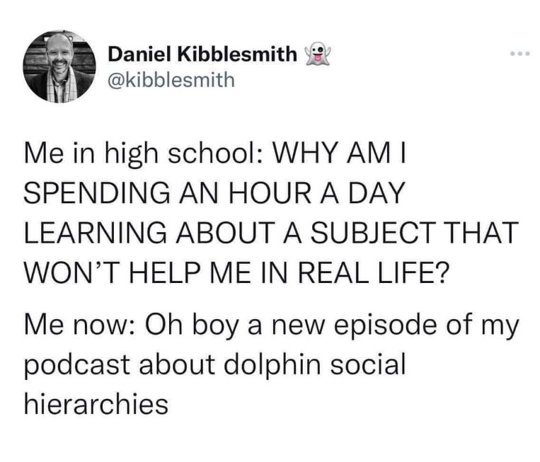 Remember complaining about learning useless stuff in school? Same. Now I'm obsessed with dolphin social structures.