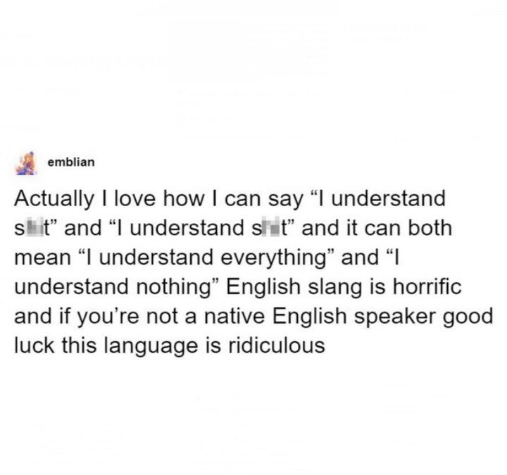 English slang is wild, saying 'I understand shit' can mean you get it all or you get none of it.