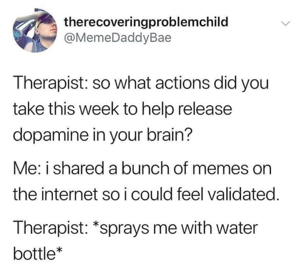 My therapist's reaction when I tell them my dopamine-boosting activity is posting memes for validation