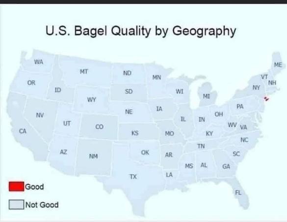 Apparently only New England knows how to make good bagels. The rest of us are out here eating disappointment.