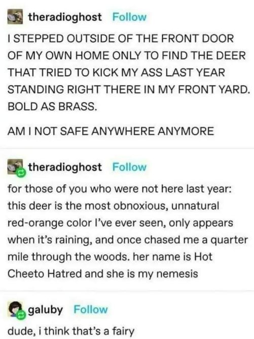 When the terrifying deer you nicknamed 'Hot Cheeto Hatred' that chased you last year shows up in your yard, and someone suggests it's just a fairy.