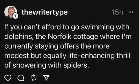 Canceling my Maldives trip to go showering with spiders in Norfolk instead. Same vibes, right?