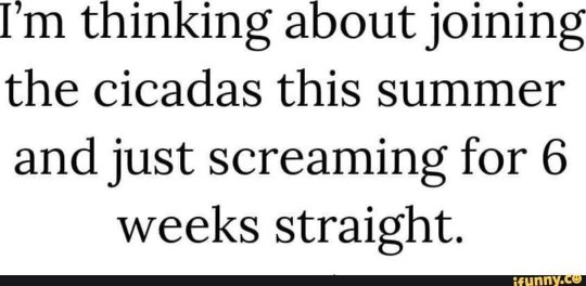 Mood: join the cicadas and just scream for 6 weeks straight lol