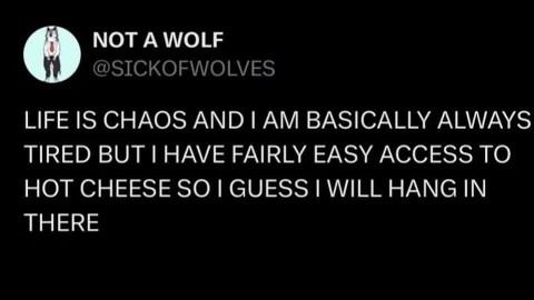 Life is chaos but at least I have hot cheese to get me through it.