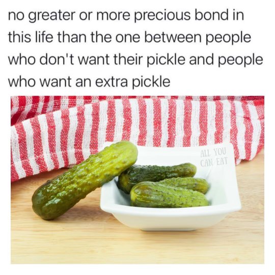 When you find the perfect pickle partner who also wants all the extras